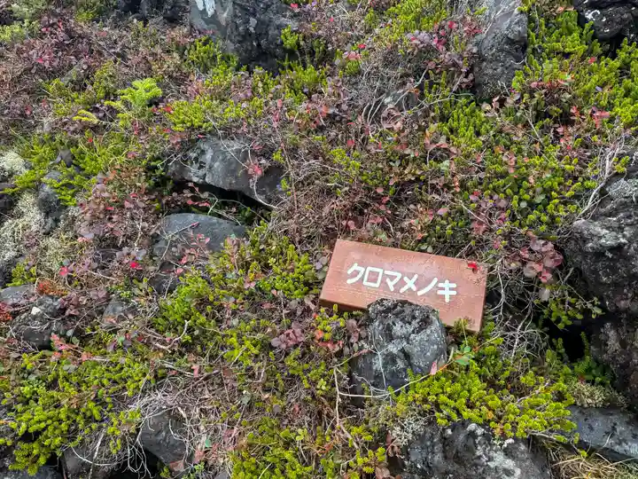 横岳神社(長野県)