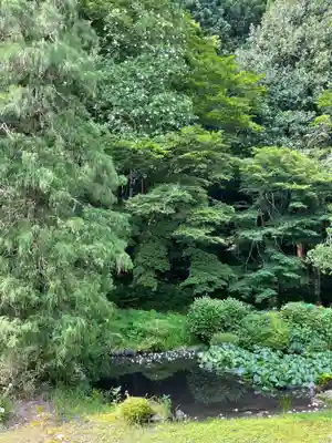 国上寺(新潟県)