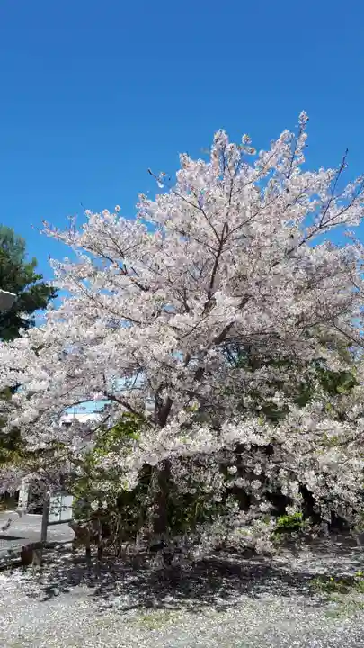 住吉神社の自然