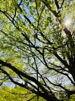 土津神社|こどもと出世の神さまの自然