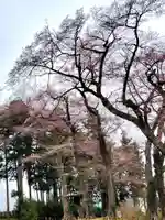 神炊館神社 ⁂奥州須賀川総鎮守⁂(福島県)