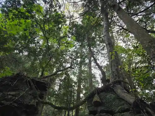 室生龍穴神社 天の岩戸(奈良県)
