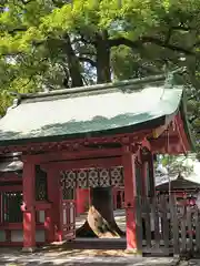 武蔵一宮氷川神社(埼玉県)