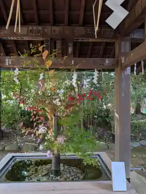 赤坂氷川神社(東京都)