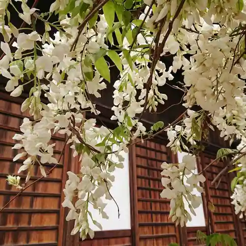 松應寺の庭園