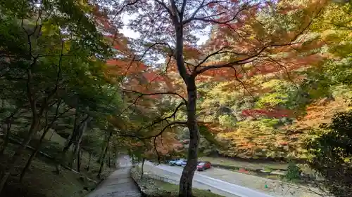 神護寺(京都府)