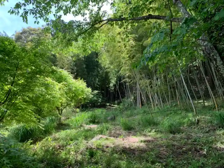 大日天子堂の自然