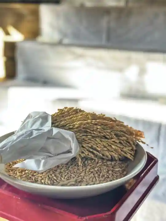 手力雄神社(岐阜県)