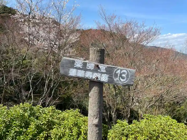 善峯寺(京都府)