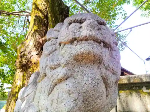 津島社（中野津島社）の狛犬