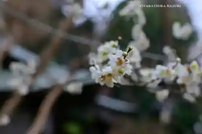 永谷天満宮(神奈川県)