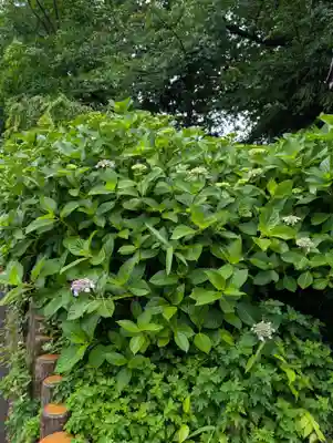 長遠寺(神奈川県)