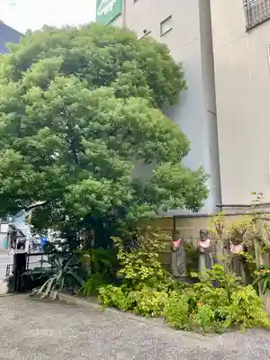 宗円寺(東京都)