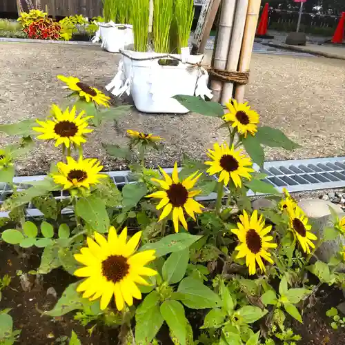 七重浜海津見神社(北海道)