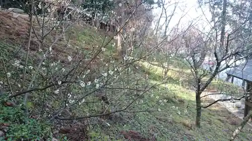 吉備津彦神社の庭園