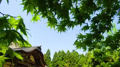 興聖寺のその他建物