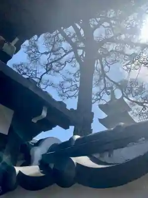 法性寺(京都府)