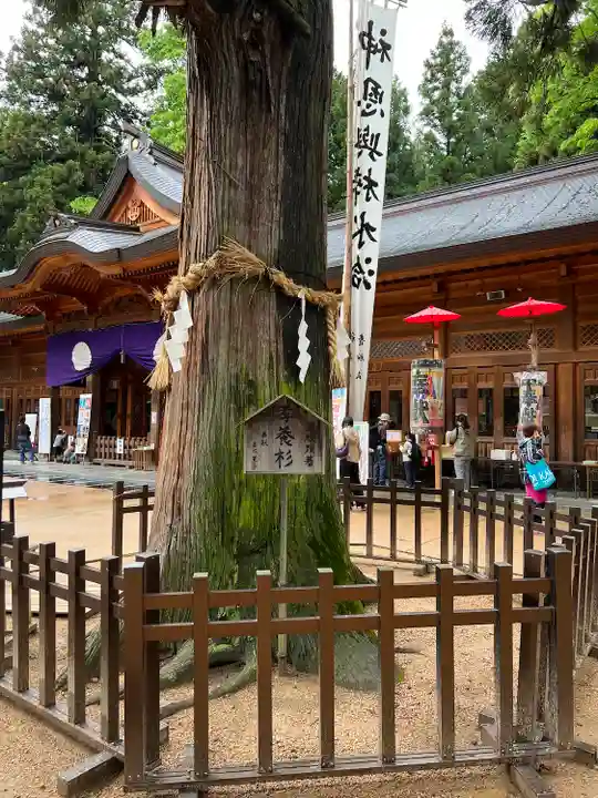 穂高神社本宮の自然