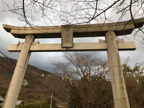 神谷神社の鳥居