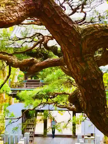 布施弁天 東海寺の山門