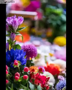 滑川神社 - 仕事と子どもの守り神の手水舎(2020年10月14日(水) 19時57分18秒投稿)