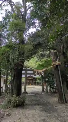 旦椋神社(京都府)