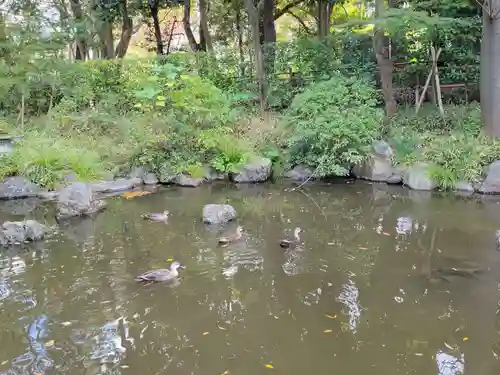 和樂備神社の庭園