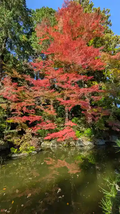 善峯寺(京都府)