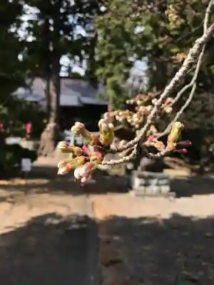 高司神社〜むすびの神の鎮まる社〜(福島県)