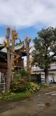 小村井 香取神社のその他建物