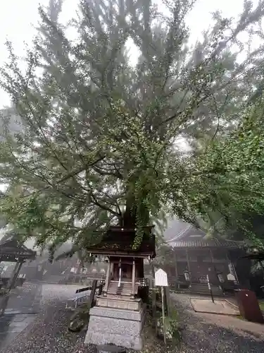 正法寺(滋賀県)