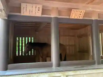 伊勢神宮内宮（皇大神宮）(三重県)