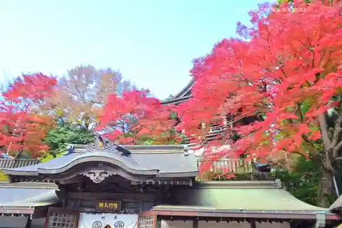 高尾山薬王院(東京都)
