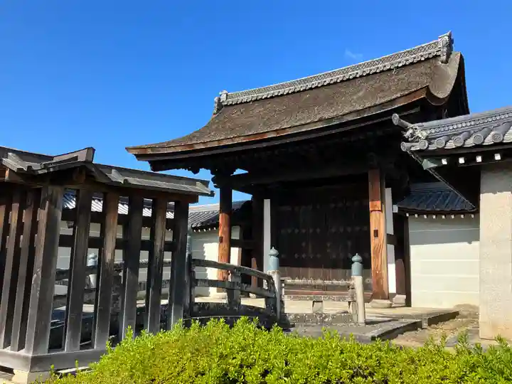 妙心寺(妙心禅寺)(京都府)