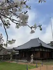 高家寺の本殿