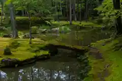 西芳寺の庭園