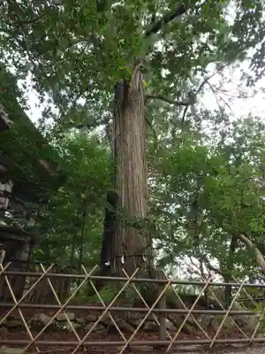 須佐神社(島根県)
