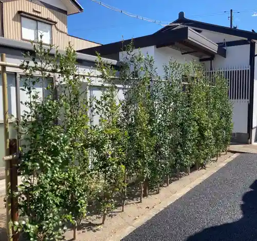 總社 和田八幡宮の景色