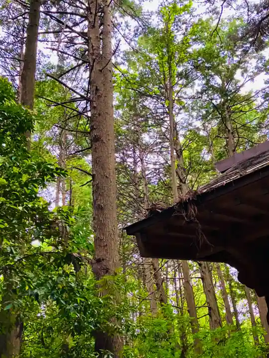 鹿島神社(茨城県)