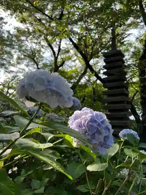 石清水八幡宮(京都府)