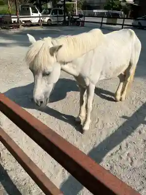 丹生川上神社（下社）(奈良県)