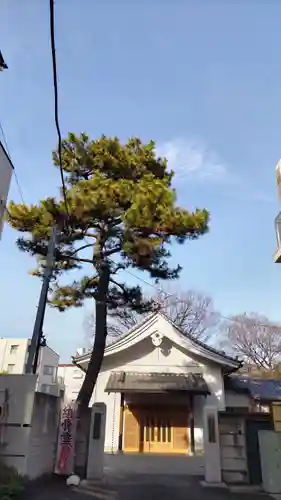 圓福寺の本殿・本堂