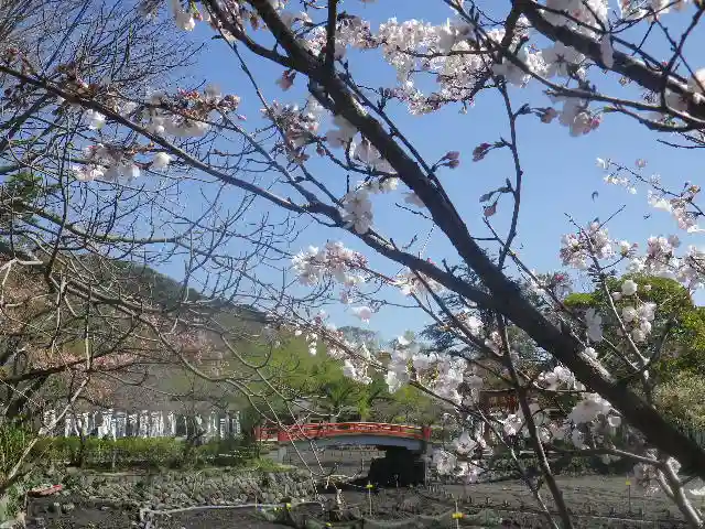 鶴岡八幡宮の自然