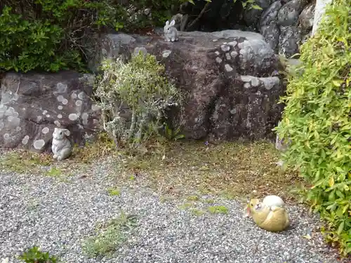 日蓮宗 総本山 塔頭 定林坊(じょうりんぼう)の狛犬