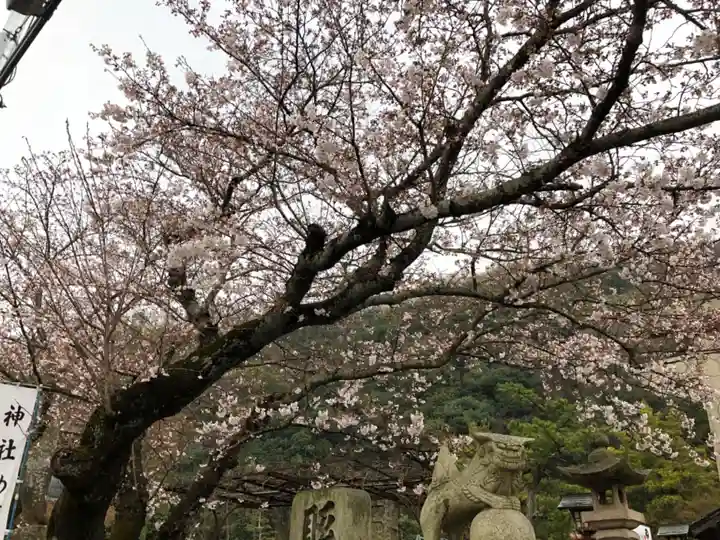 天別豊姫神社の自然