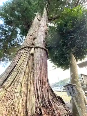 津田神社(三重県)