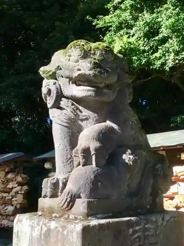 谷保天満宮の狛犬