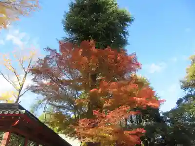 根津神社(東京都)