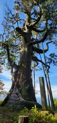 木幡山隠津島神社(二本松市)の周辺
