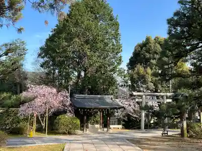 宗忠神社(京都府)